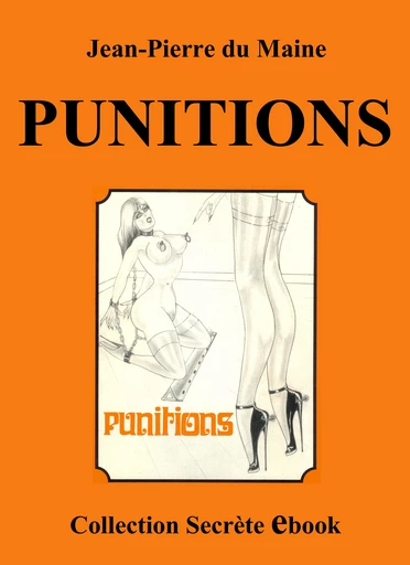 PUNITIONS - Jean-Pierre du Maine - Vertiges Secrets